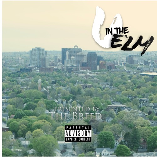 Chris Echols - My Body