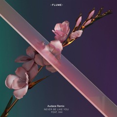 Flume - Never Be Like You (Remix)