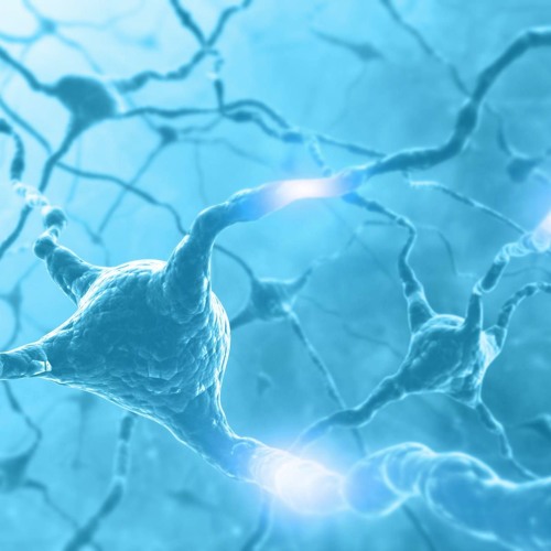 Download Healing Your Neurological System