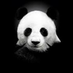 Paco- Panda (Remix)