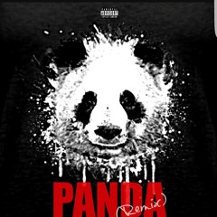Paranormal ft. Spadez and J the Renegade- Panda Remix