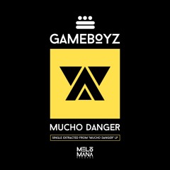 Gameboyz - Mucho Danger (Original Mix)