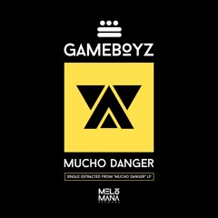 Gameboyz - 17H (Original Mix)