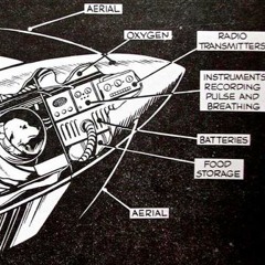 Il viaggio di Laika
