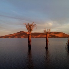 WHITE MOON @ TRANSAHARA 2015 Part II