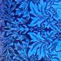 RHAPSODY OF THE GARDEN OF INDIGO