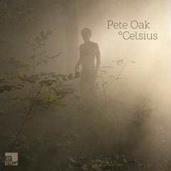 Pete Oak feat. Notize – Noctua [Snippet]