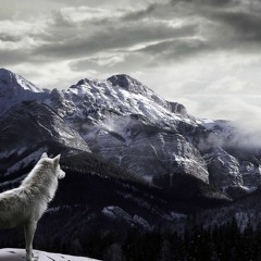 Path Of The  Wolf - NAF