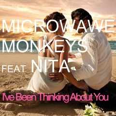 Microwave Monkeys Feat. Nita - I've Been Thinking About You PREVIEW