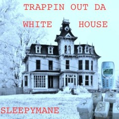 TRAPPIN OUT DA WHITE HOUSE