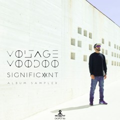 Voltage Voodoo - Mundane [DIGIPOT80]