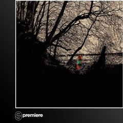 Premiere: Saite Zwei - Nighting Ale (Tach & Nacht)