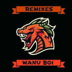 50 Cent - Just A Lil Bit (Wanuboi Remix)