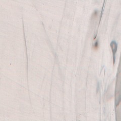 ｈｅａｌｔｈｙ Ｍｅｎｉｓｃｕｓ [disquiet0232]