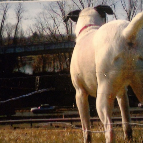 What's Left of We (Open Collaboration)