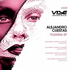 Alejandro Cuestas - Recip (Original Mix)[Vibe Experience 009]