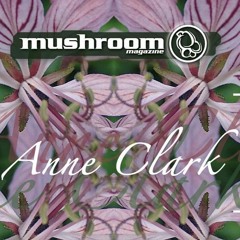 Anneclark - Dreaming (Solar Sound Network Remix)