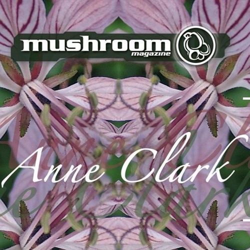 Anneclark - Dreaming (Solar Sound Network Remix)