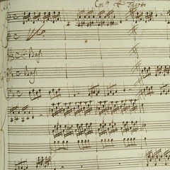 Antonio Vivaldi-Concerto in D minor RV481 for Bassoon, Strings and B.C. LIVE RECORDING