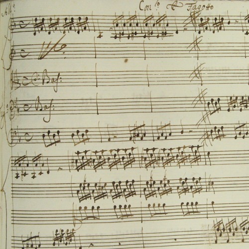 Antonio Vivaldi-Concerto in D minor RV481 for Bassoon, Strings and B.C. LIVE RECORDING