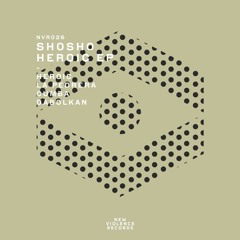 Premiere: Shosho - La Pedrera [New Violence Records]