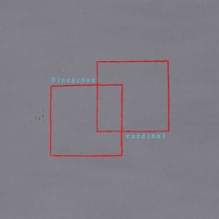 Pinegrove - Visiting