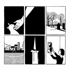 PAWS - Impermanent