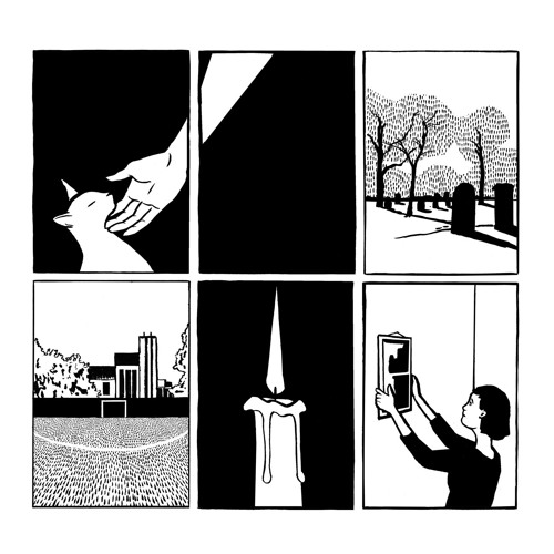 PAWS - Impermanent