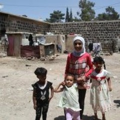 人道协调厅：以色列对巴勒斯坦长达50年的占领是造成 巴勒斯坦人道需求的原因(2:17)