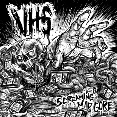 VHS - Screaming Mad Gore - 12 Radioactive Rat Attack