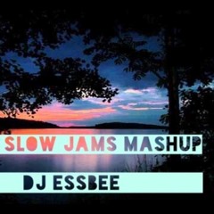 Slow Jams Mashup DJ Essbee