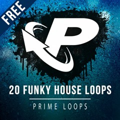 ► 20 FREE FUNKY HOUSE LOOPS!!! [40mb]