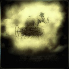 LE SONGE DE L'ELEPHANT VOLANT - SOUNDSCULPTOR