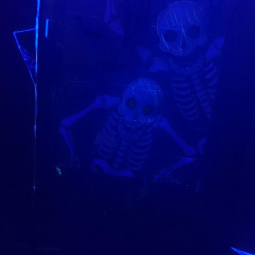 Eli Sostre - passenger