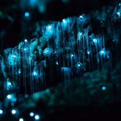 Let Glow - McCsumi X Cody Currie