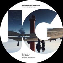 Ksenia Kamikaza - Going After (Wouter De Witte Remix)
