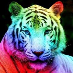 Mix Raw Vitzef Tayu #2