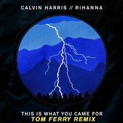 Tom Ferry x Calvin Harris x Rihanna - This Is What You Came For (Tom Ferry Remix)