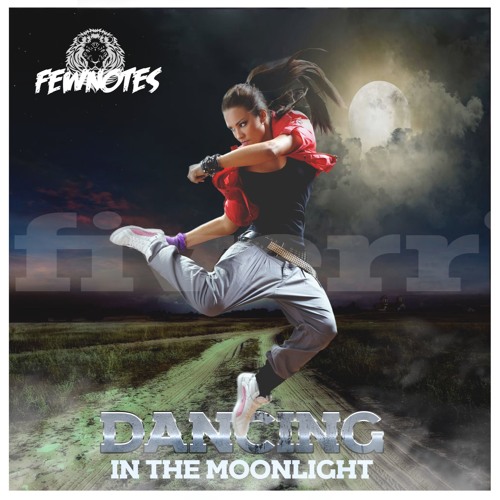 Fewnotes Fewnotes Dancing In The Moonlight Original Mix Spinnin Records