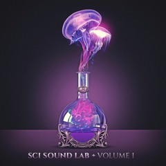 "Sweet Spot"  - SCI Sound Lab, Volume I