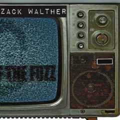 5 Shake Off The Fuzz