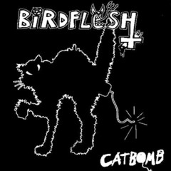 Birdflesh - Catbomb