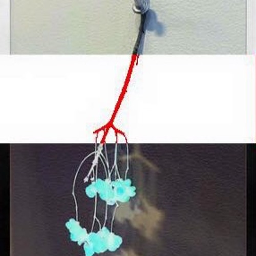 New private playlist