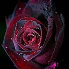 DubCtrl - RIP Orlando