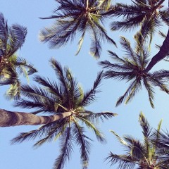 summer playlist