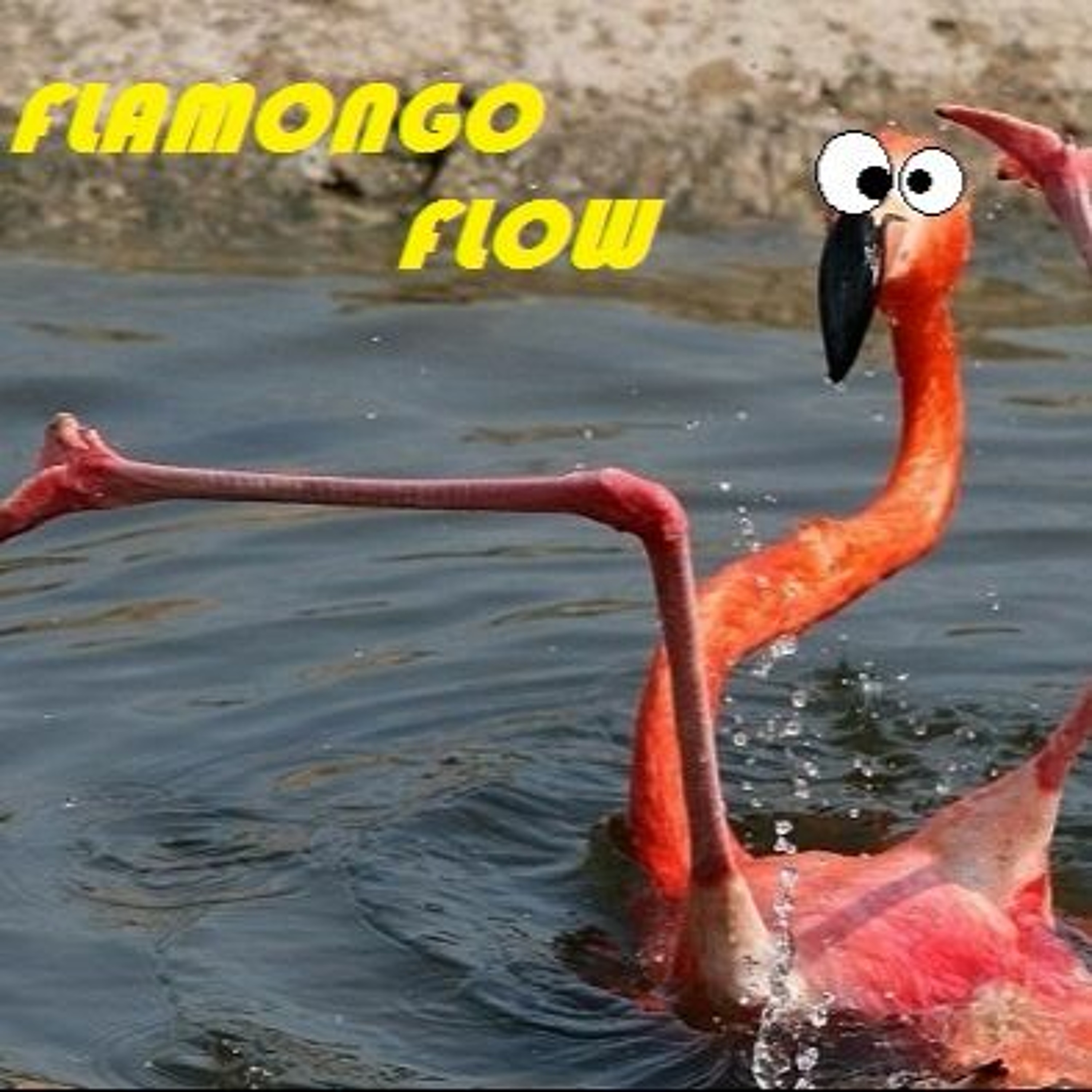 Hausiii2.0 - Flamongo Flow episode artwork