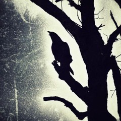 The Path Of Broken Glass