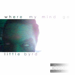05 Little Byrd - Where My Mind Go