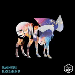 Transmuters - Dutch Passion (Original Mix)