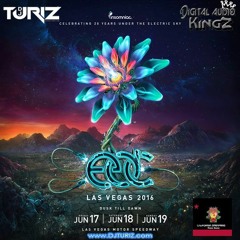 DJ Turiz - EDC Las Vegas 2016 Mix